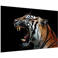 LIOX Tiger roar painting, 120 × 80 cm - Painting