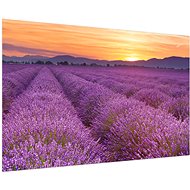 LIOX Painting provence, 60 × 40 cm - Painting