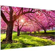 LIOX Cherry blossom painting, 60 × 40 cm - Painting