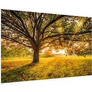 LIOX Autumn sunset painting, 90 × 60 cm - Painting