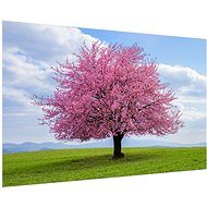 LIOX Painting pink flowering tree, 100 × 65 cm - Painting
