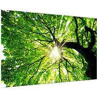 LIOX Painting tree with sun rays, 60 × 40 cm - Painting