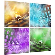 LIOX Painting rare feathers, 80 × 80 cm, four-piece - Painting