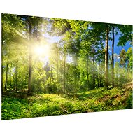 LIOX Painting sunny forest, 90 × 60 cm - Painting