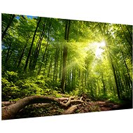 LIOX The magic of the forest, 60 × 40 cm - Painting