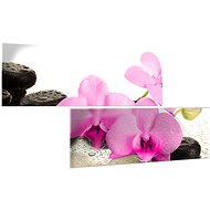 LIOX Orchid and dew drops, 160 × 80 cm, two-part - Painting