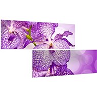 LIOX Purple orchid, 100 × 50 cm, two-piece - Painting