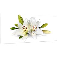 LIOX White lilies on canvas, 150 × 65 cm - Painting