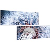 LIOX Dandelion on canvas, 160 × 80 cm, two-part - Painting
