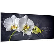 LIOX White orchid on black background, 150 × 65 cm - Painting