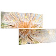 LIOX Dandelion close-up, 120 × 60 cm, two-piece - Painting