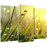 LIOX Painting dew in sunset, 75 × 50 cm, three-piece - Painting