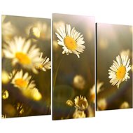 LIOX Daisy in sunset, 90 × 60 cm, three-piece - Painting