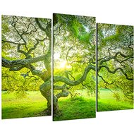 LIOX Painting flowering willow, 75 × 50 cm, three-piece - Painting