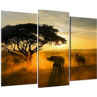 LIOX Elephants in safari, 75 × 50 cm, three-piece - Painting