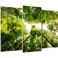 LIOX Tree crown painting, 150 × 100 cm, three-part - Painting