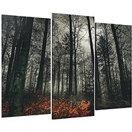 LIOX Mysterious grey forest, 60 × 40 cm, three-piece - Painting