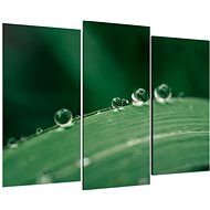 LIOX Macro painting drop on grass, 150 × 100 cm, three-part - Painting