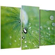 LIOX Macro painting drops on a leaf, 90 × 60 cm, three-part - Painting