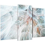 LIOX Dandelion in detail, 75 × 50 cm, three-piece - Painting