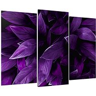 LIOX Tropical purple leaves, 75 × 50 cm, three-piece - Painting