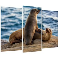 LIOX Seals lying on the ground, 120 × 80 cm, three-piece - Painting