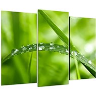 LIOX Painting drop on grass leaf, 60 × 40 cm, three-piece - Painting
