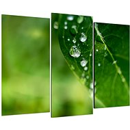 LIOX Macro image of green leaf, 75 × 50 cm, three-piece - Painting