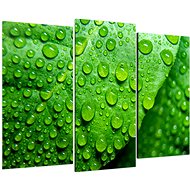 LIOX Macro image of a dewy leaf, 75 × 50 cm, three-part - Painting