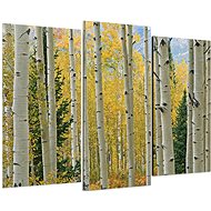 LIOX Painting yellow birch forest, 75 × 50 cm, three-part - Painting