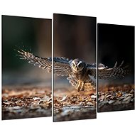 LIOX Painting wingspan, 75 × 50 cm, three-piece - Painting