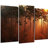 LIOX West in the treetops, 90 × 60 cm, three-piece - Painting