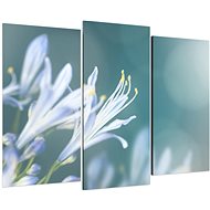 LIOX Blue and white lily, 75 × 50 cm, three-piece - Painting