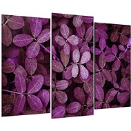 LIOX Purple leaves, 75 × 50 cm, three-piece - Painting