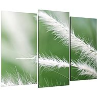 LIOX Macro feather painting, 120 × 80 cm, three-part - Painting