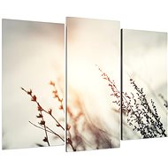 LIOX Macro image of a meadow, 75 × 50 cm, three-piece - Painting