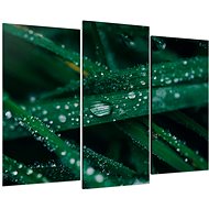 LIOX Macro painting dew on grass, 75 × 50 cm, three-part - Painting