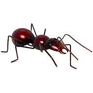 Prodex Brown-Red Ant Large 24 × 11 × 7cm - New