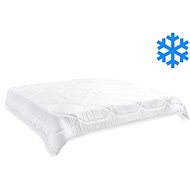 Brotex French blanket AntiStress winter 240 × 220 cm 2370 g - Duvet 