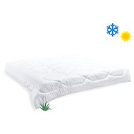 Brotex French blanket Aloe Vera all year round 200 × 200 cm 1200 g - Duvet 