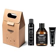 DANDY Styling Gift Bag - Haircare Set