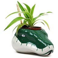 Harry Potter: Slytherin - mini decorative vase - Decoration
