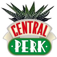 Friends: Central Perk - mini decorative vase - Decoration