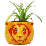 Harry Potter: Gryffindor - decorative vase - Decoration