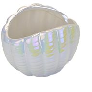 DOMMIO Ceramic bowl shell white pearl 10 × 13 cm - Decoration