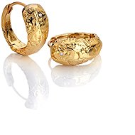 HOT DIAMONDS X GOLDEN EDIT Muse DE849 (Ag 925/1000; 7 g) - Earrings