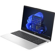 HP 250 G10 Silver - Laptop