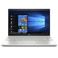 HP Pavilion 14-ce2011nc Mineral silver - Notebook