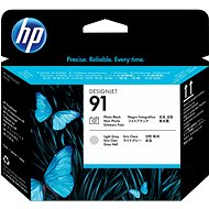HP 91 PHOTO BLACK + LIGHT GREY PRINTHEAD - Print Head