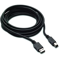 HP 300CM DP USB B-A CABLES - Video Cable